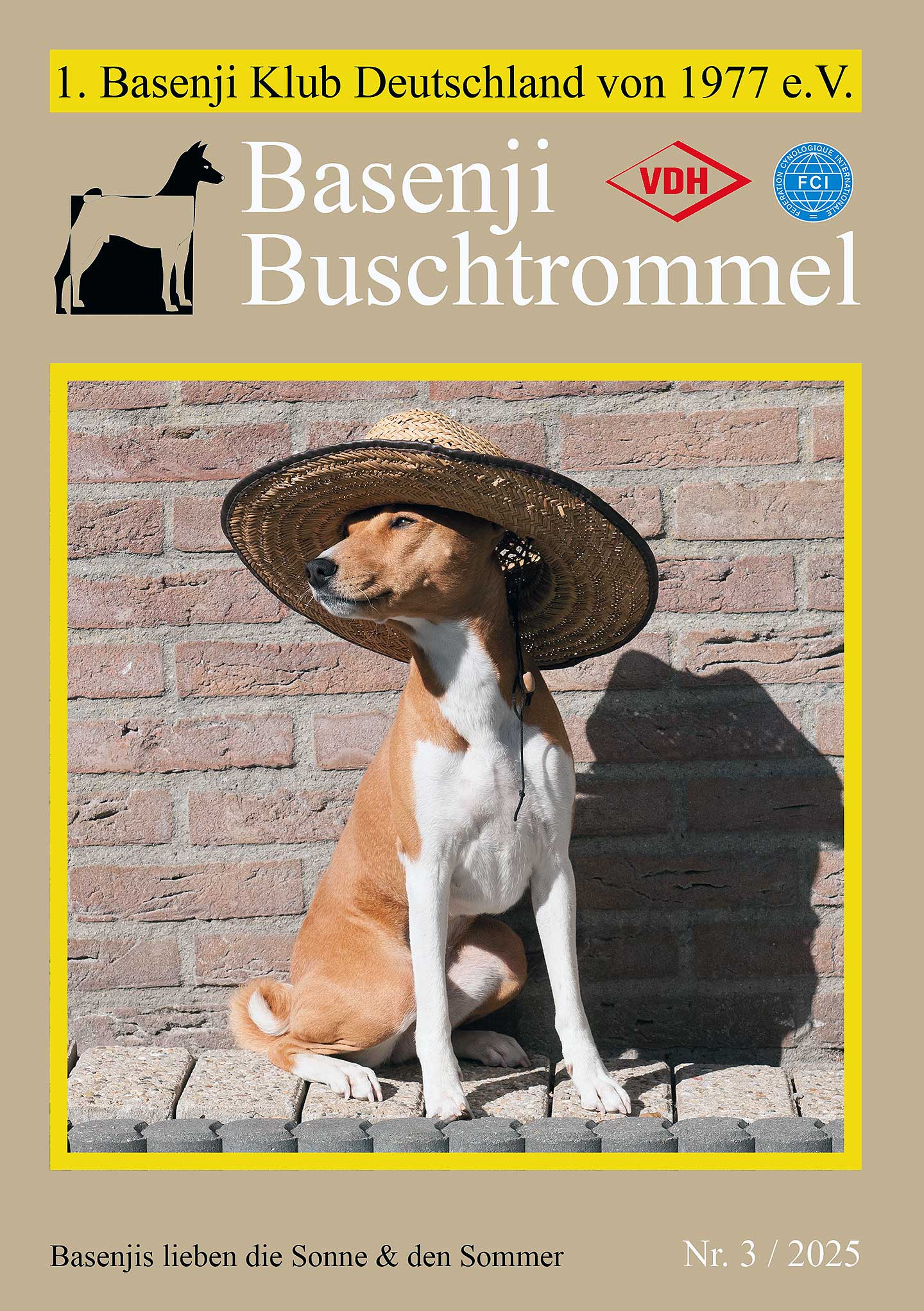 Buschtrommel