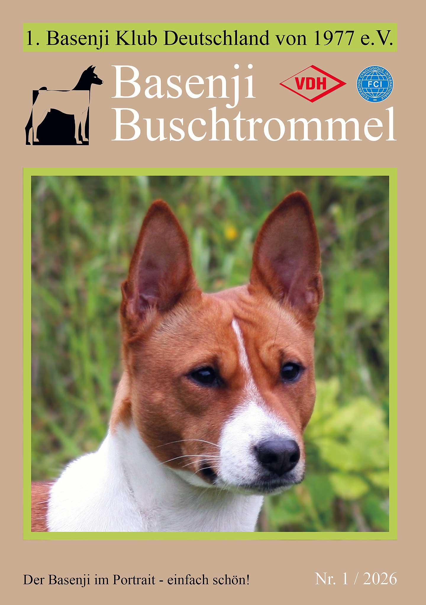 Buschtrommel